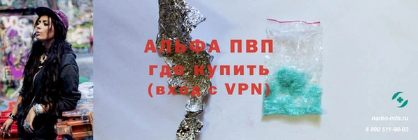 дурь Бородино
