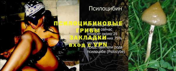 мдма Бронницы