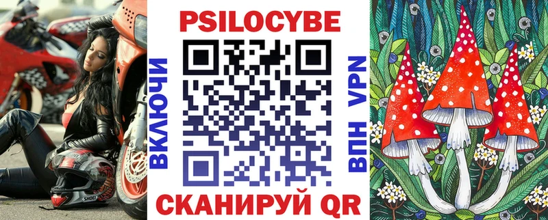 сколько стоит  Дно  Галлюциногенные грибы мицелий 
