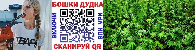 сайты даркнета наркотические препараты  Дно  Бошки марихуана MAZAR  хочу наркоту 